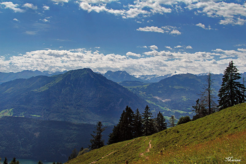 Swiss Alps