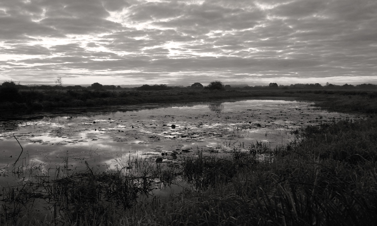 September morning-2