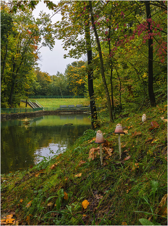 In the autumn park.