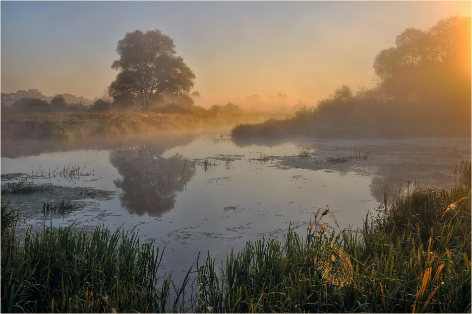 In the morning