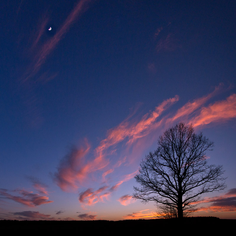 Breathing night