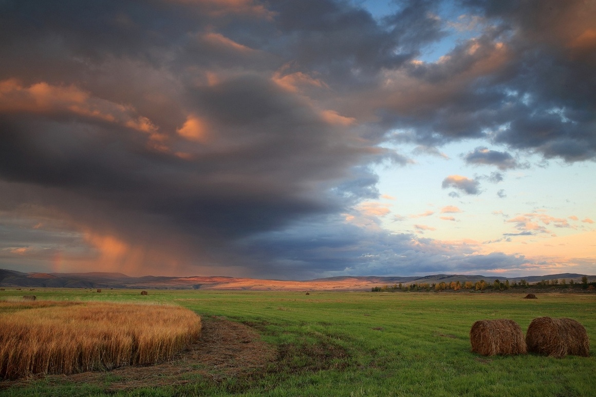 Before the Storm