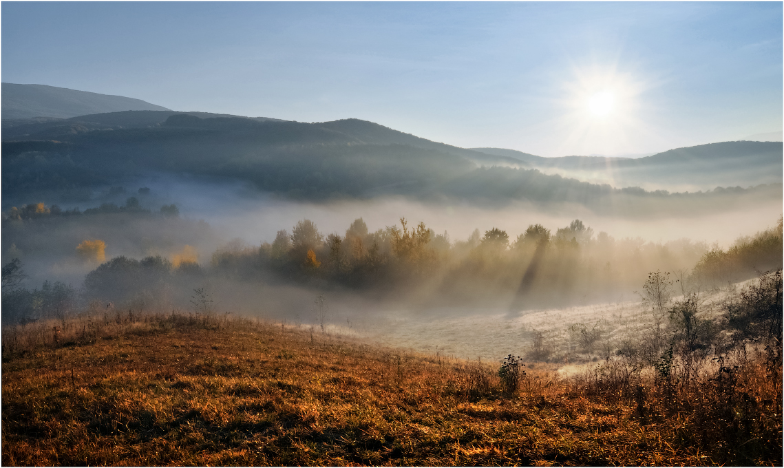Of the morning sun ...
