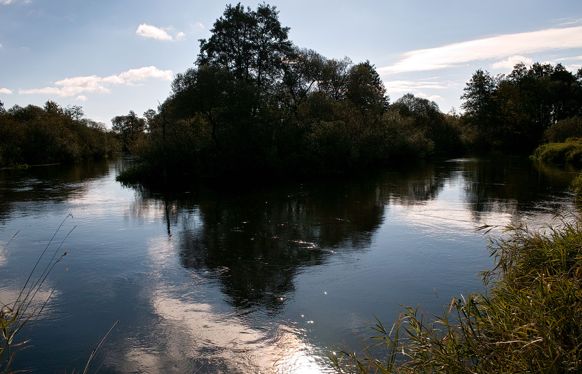 Ptich in September