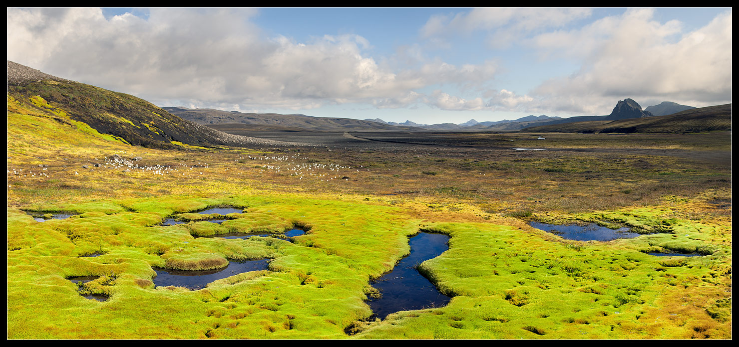 Iceland Plateau