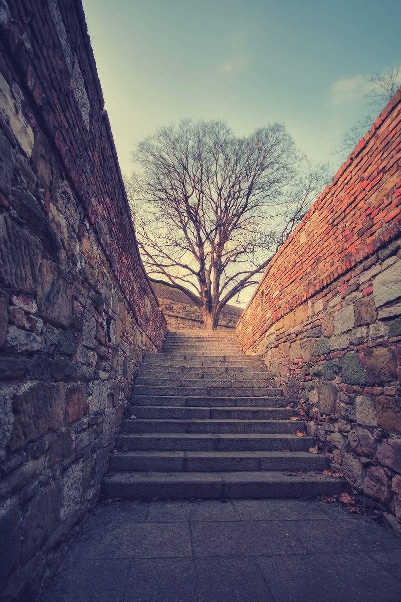 |   Stairs   |
