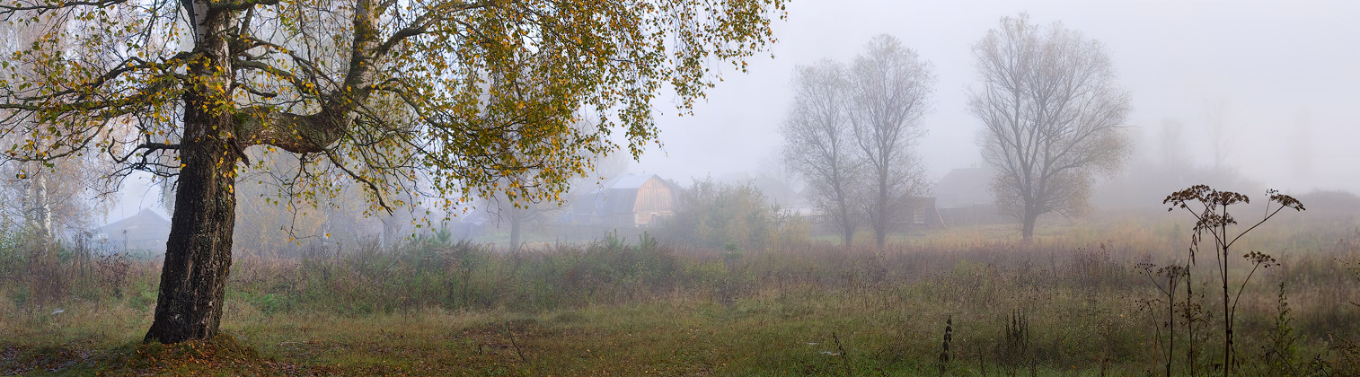 Autumn morning