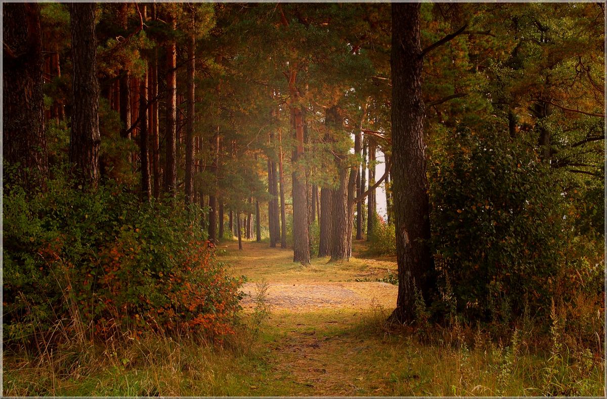 In the early autumn