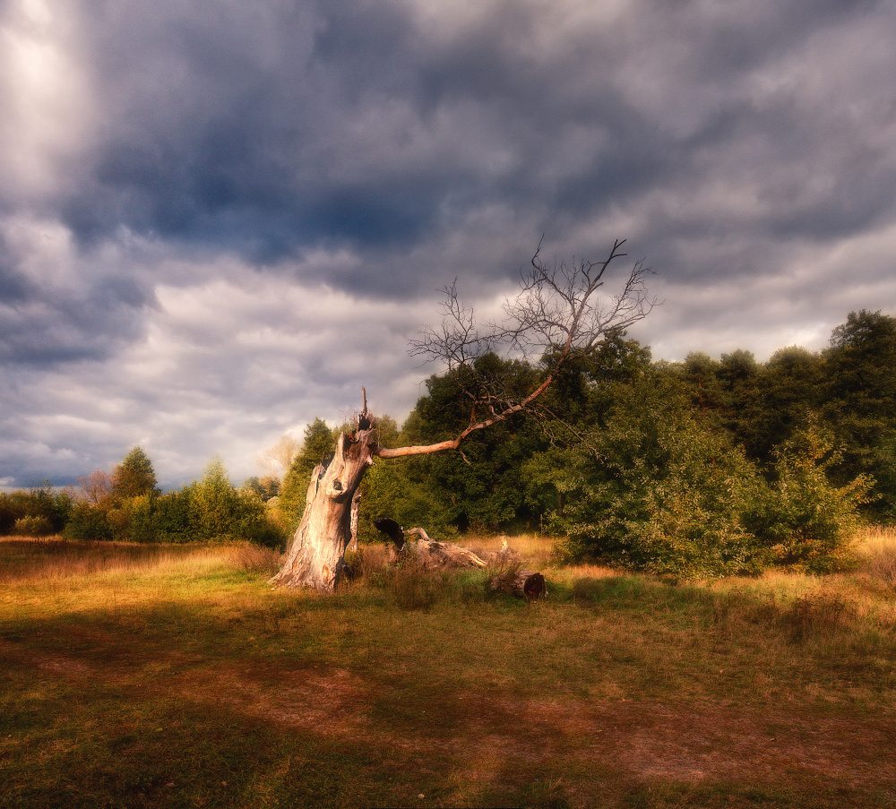 The beginning of autumn ...... ......