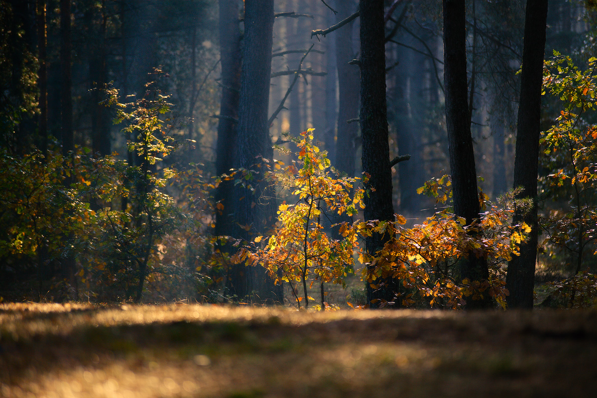 The feeling of peace ....... ........