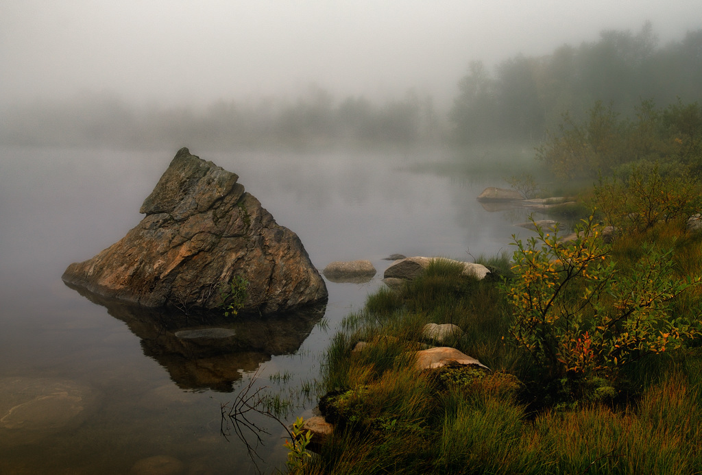 Fog with stone