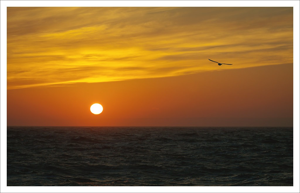 course, the sunset ...