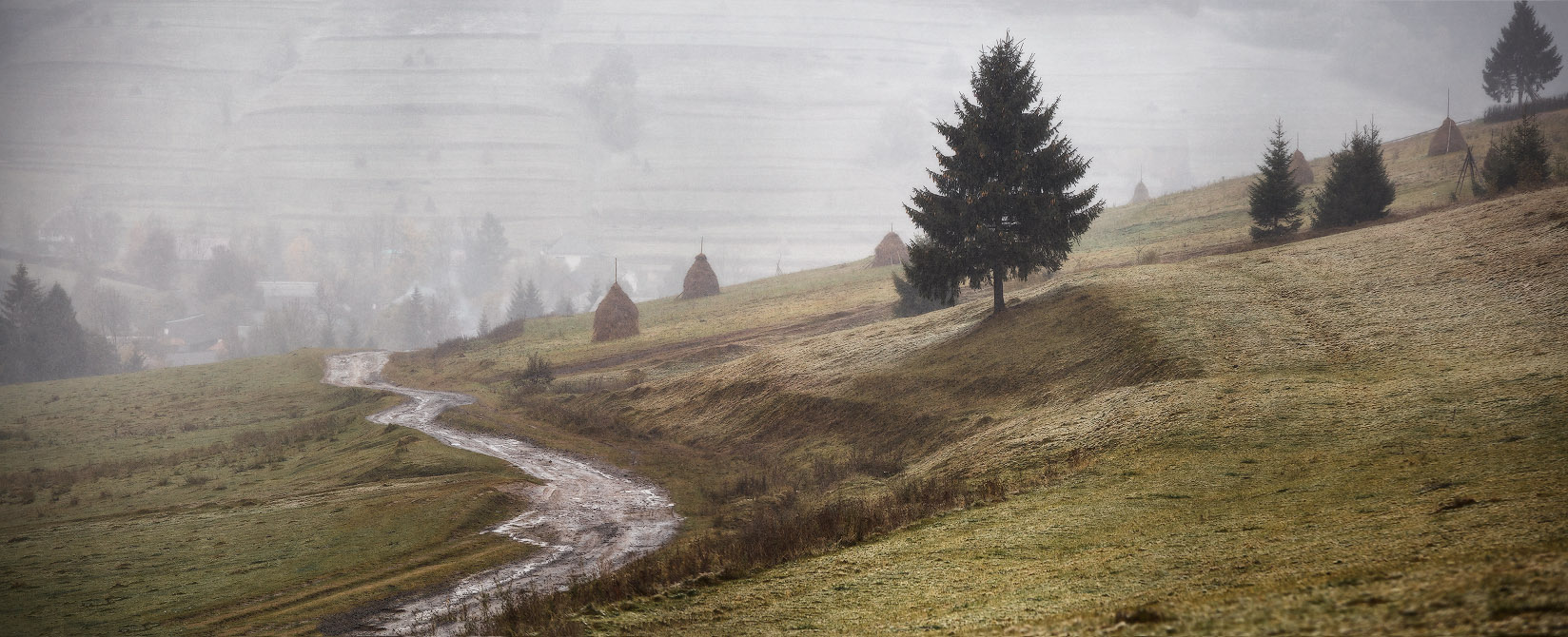 Dank Carpathians