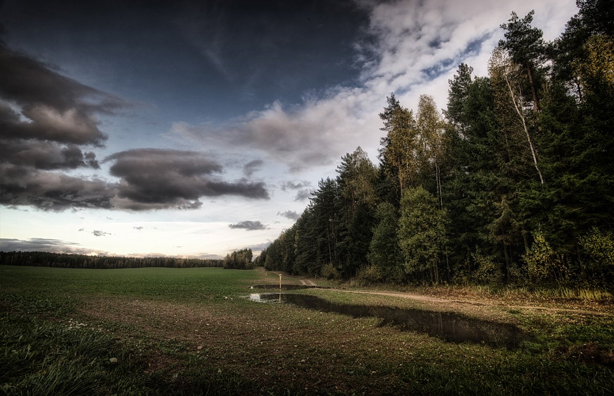 Autumn