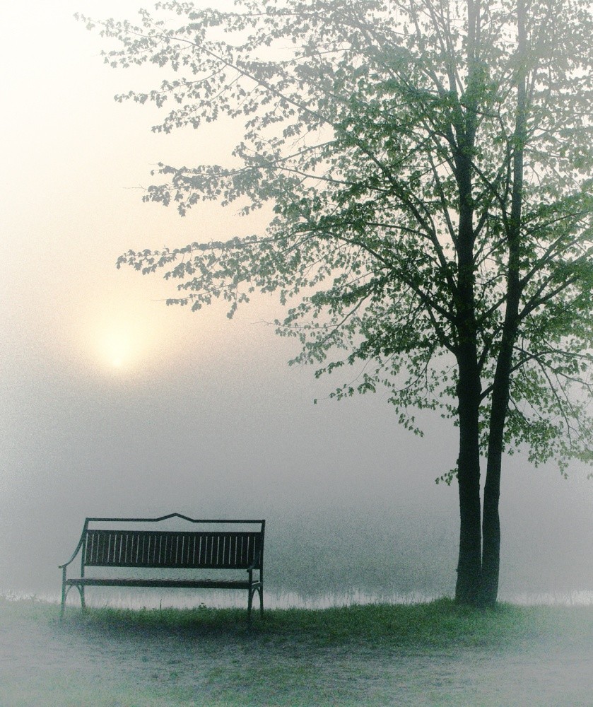 Kiss me at dawn