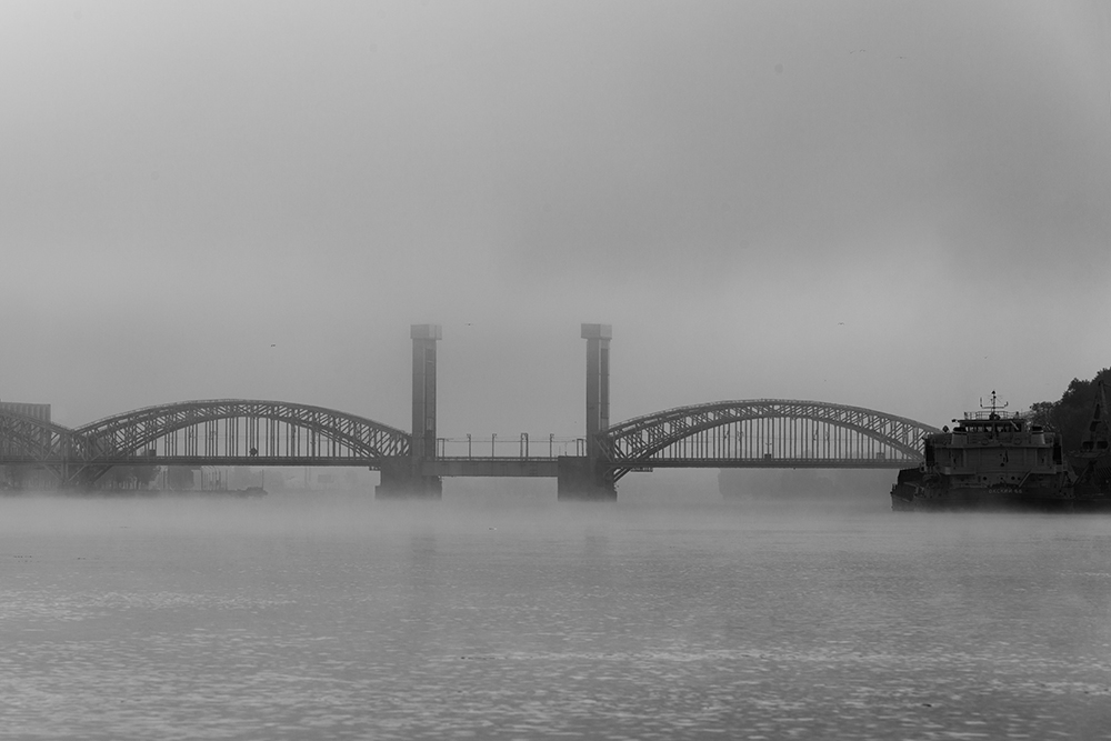 Fog