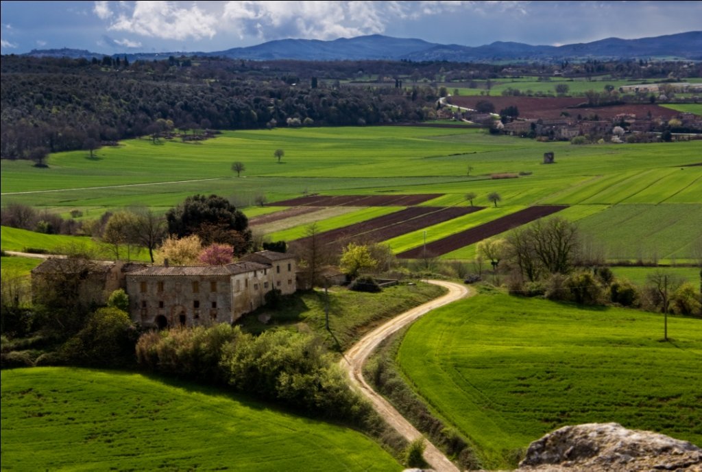 Tuscan hills