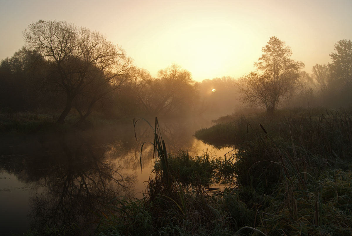 Dawn