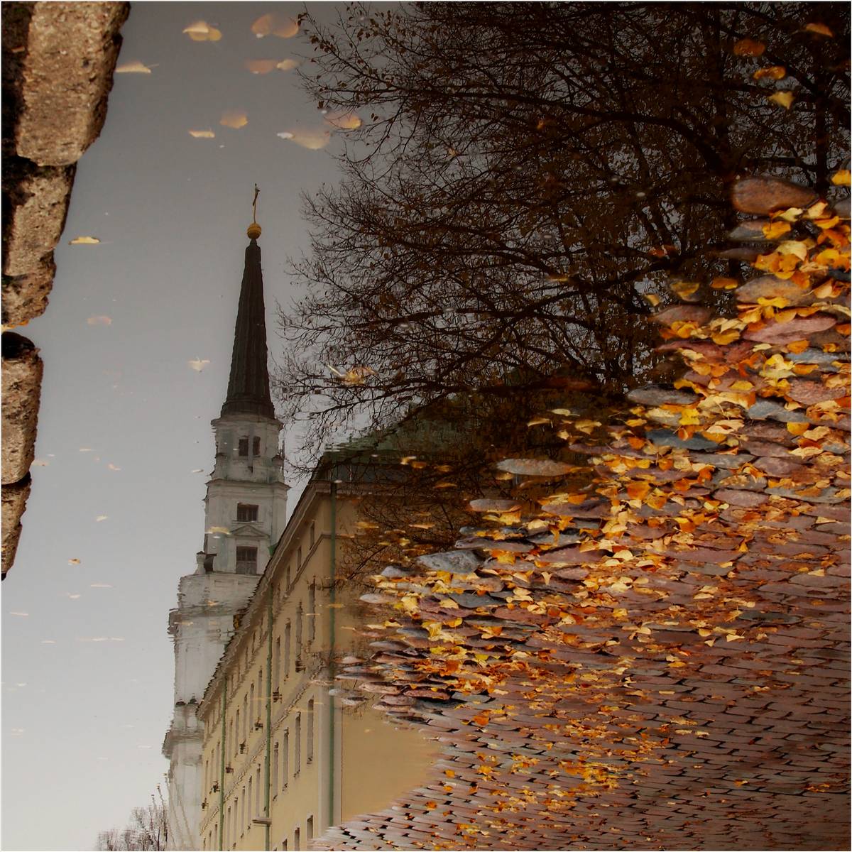 Reflection