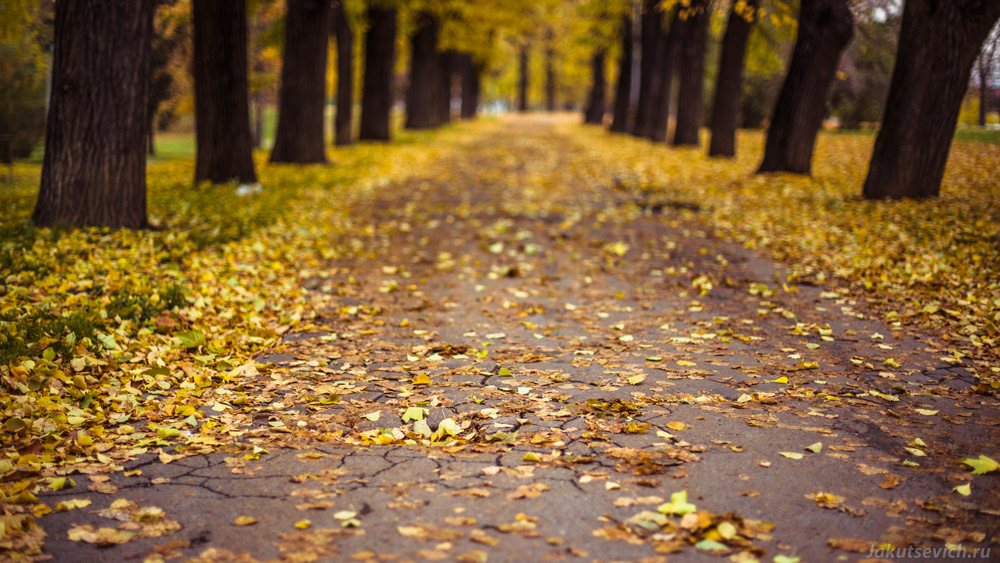 Autumn in Prague