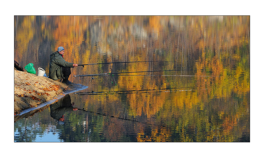 reflection of autumn