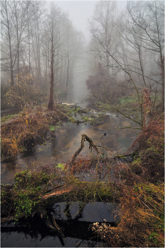 Autumn on Pulve