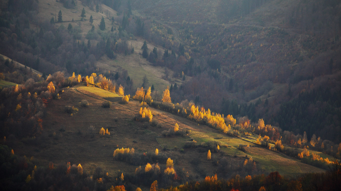Evening in early November