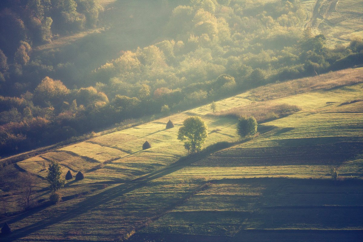 Reminiscences of the Carpathians ........ ......