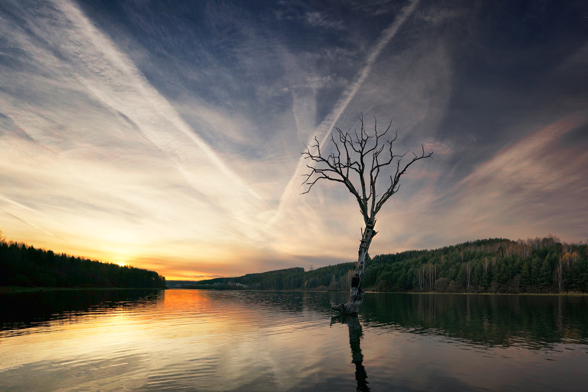 Lake veteran