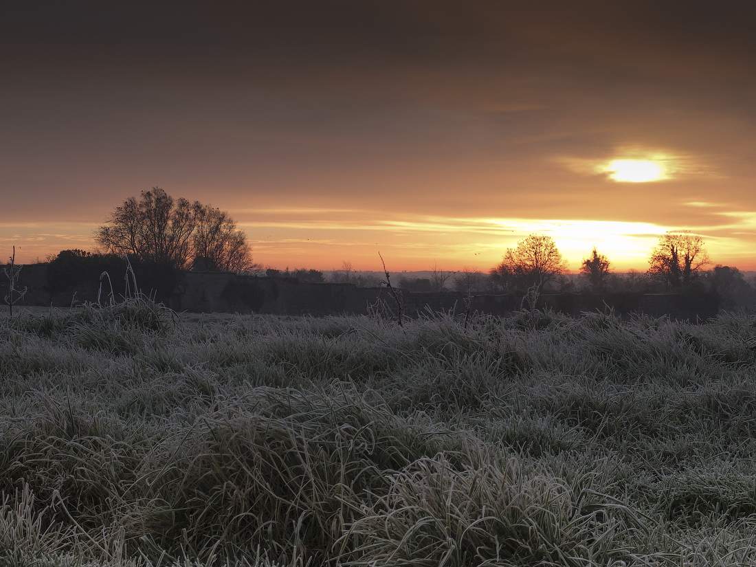 Frosty ... ...