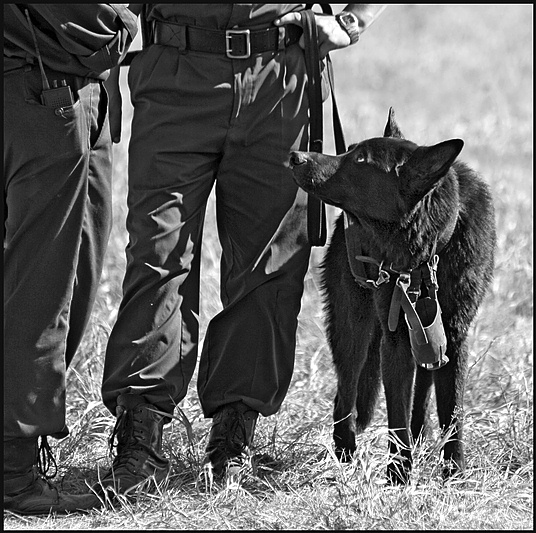The owner, when demobilization?