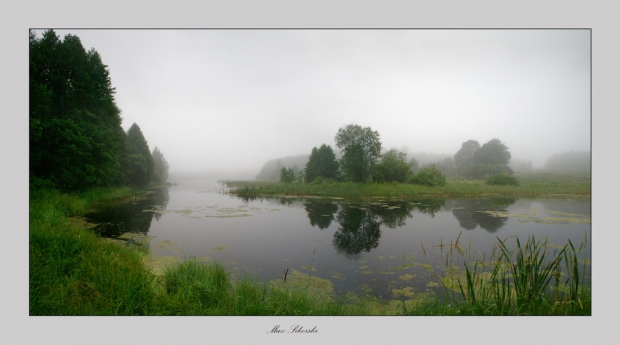 Summer, misty