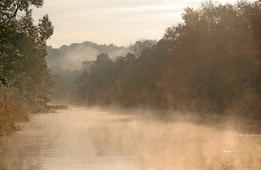 Molochnomedovaya river Istra