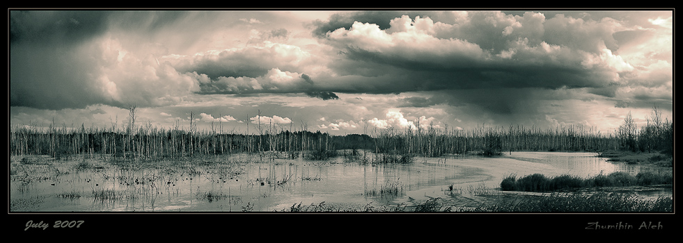 The storm on the marsh