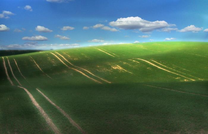 Expanse of fields