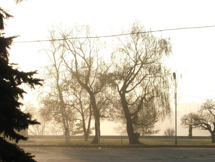 Wall golden mist