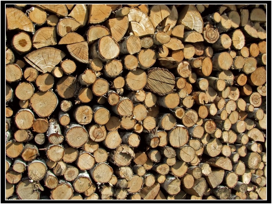 Firewood Def firewood / photo