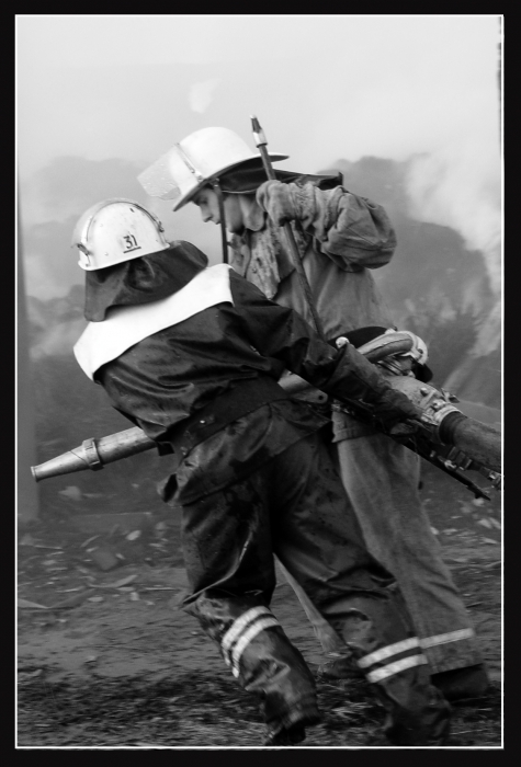 in the service of motherland and the people ...