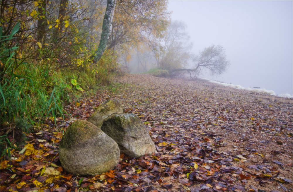 Foggy Morning