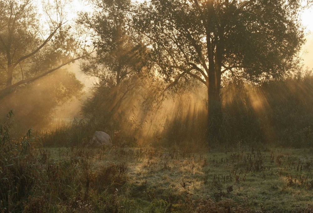 All penetrating light.