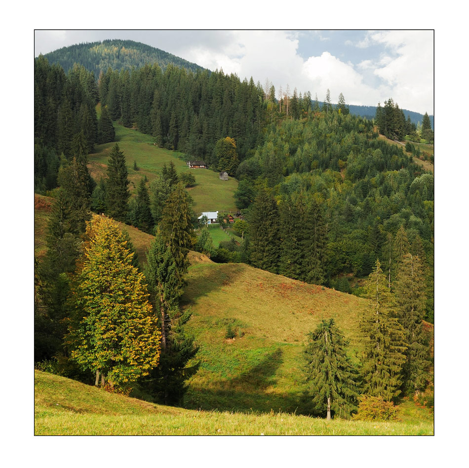 Autumn Carpathian