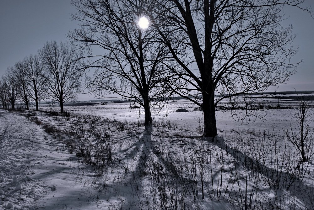 winter sun