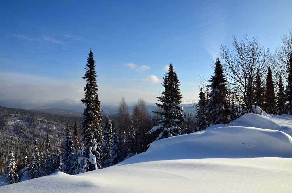 Snow gave