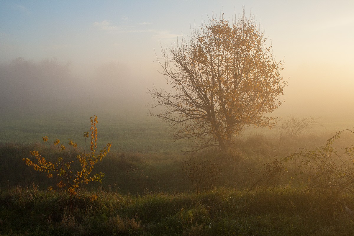 In the light of the morning sun.