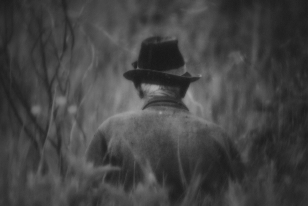 Silent World