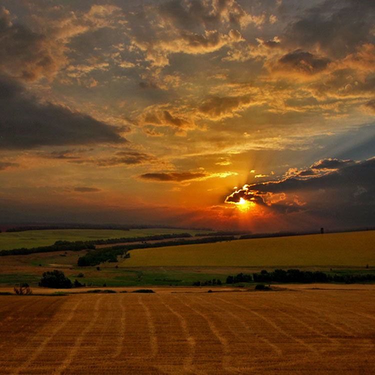 On the sunset