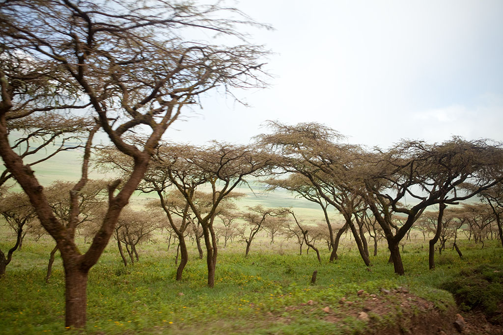 somewhere in Tanzania
