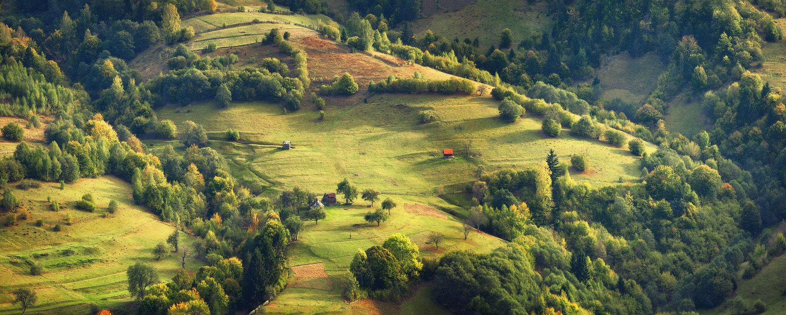 About a small garden on a large slope