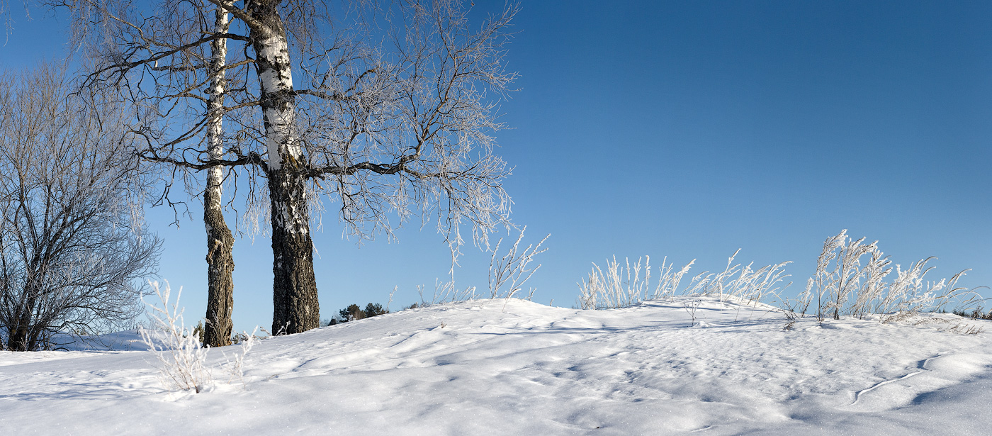 Frosty March morning