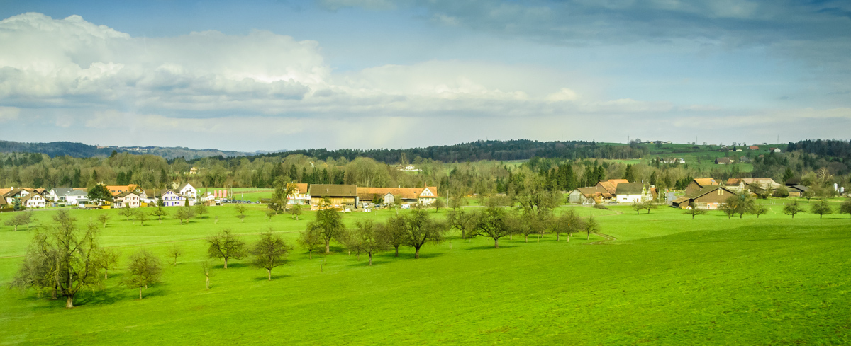 Spring